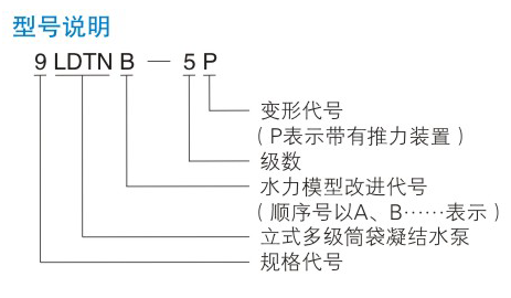 LDTN型凝黄瓜视频成人APP